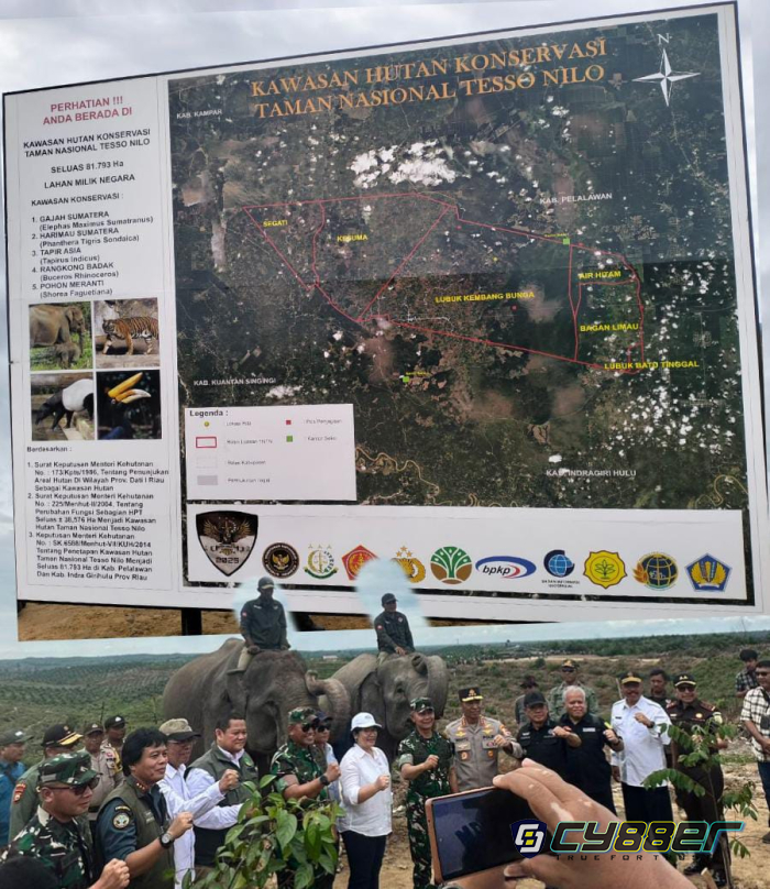 Letjen TNI Richard TH Tampubolon : “Hutan Konservasi TNTN Rusak Parah” 